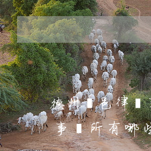 德州臨邑律師事務所哪家好(德州有名的律師事務所有哪些都在哪里)