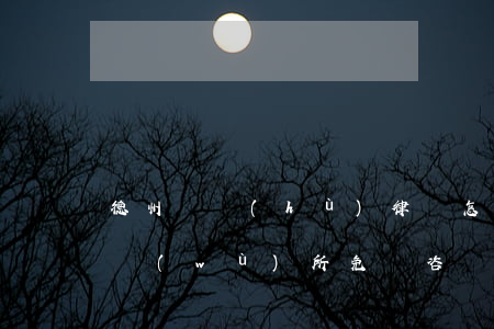 德州辯護(hù)律師怎么委托(德州律師事務(wù)所免費咨詢)
