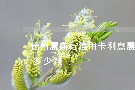 德州農商行信用卡利息(農商行信用卡年費是多少錢)