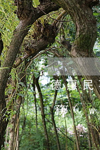 德惠民事債務(wù)糾紛律師 德惠民事債務(wù)糾紛律師電話