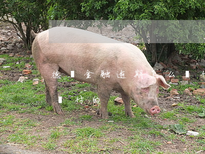 德眾金融逾期怎么賠付-德眾金融逾期怎么賠付的