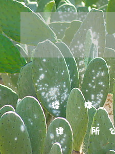 德納律師事務(wù)所律師函什么樣式圖(律師所公函)