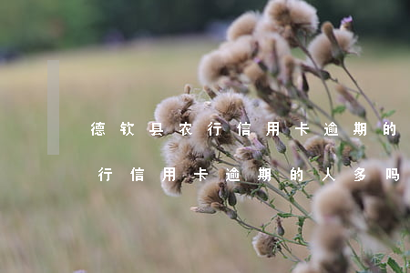 德钦县农行信用卡逾期的人多吗-德钦县农行信用卡逾期的人多吗吗