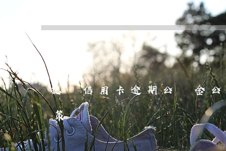 德陽信用卡逾期公積金(公積金信用卡逾期政策)
