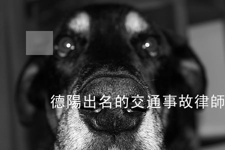 德陽出名的交通事故律師(德陽有名的律師)