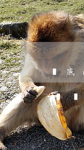 徹底消除信用卡逾期記錄(信用卡逾期能消除記錄嗎)