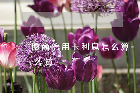 徽商信用卡利息怎么算-徽商信用卡利息怎么算