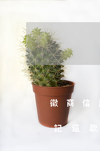 徽商信用卡忘記還款逾期了上征信(信用卡忘記還款逾期了怎么辦)