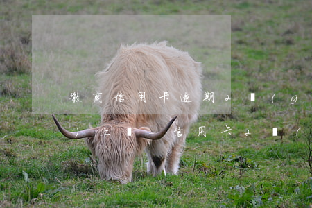 徽商信用卡逾期2個(gè)月會(huì)上門-信用卡2個(gè)月逾期后果