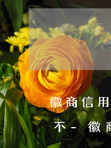 徽商信用卡逾期2天會(huì)影響信用不-徽商信用卡逾期2天會(huì)影響信用不