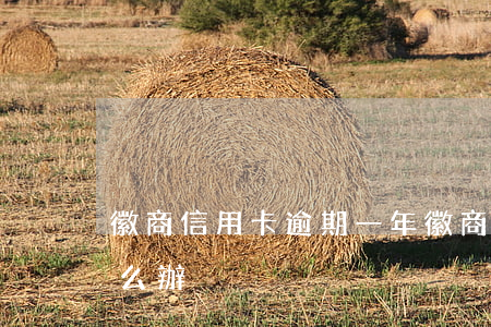 徽商信用卡逾期一年(徽商信用卡逾期一年怎么辦)