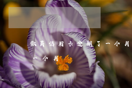 徽商信用卡逾期了一个月(徽商信用卡逾期了一个月)