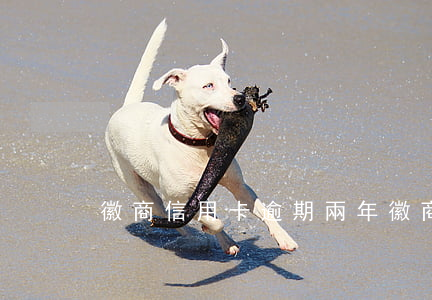 徽商信用卡逾期兩年(徽商信用卡逾期兩年)
