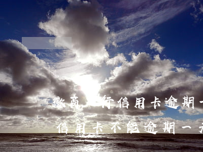 徽商銀行信用卡逾期一天可以嗎(哪個銀行的信用卡不能逾期一天)