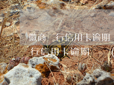 徽商銀行信用卡逾期凍結(jié)(徽商銀行信用卡逾期凍結(jié))