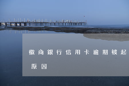 徽商銀行信用卡逾期被起訴(徽商銀行卡異常原因)
