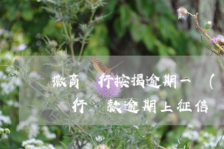 徽商銀行按揭逾期一個(gè)月起訴(徽商銀行貸款逾期上征信報(bào)告是什么時(shí)間?)