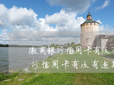 徽商银行信用卡有没有逾期怎么查-徽商银行信用卡有没有逾期怎么查征信