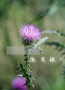 徽商银行信用卡透支手续费