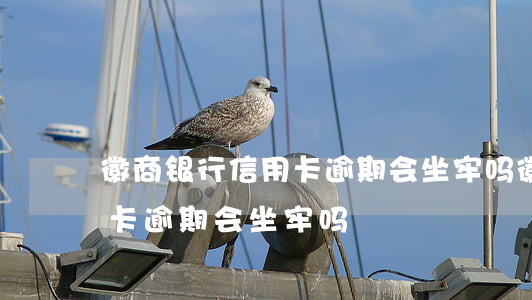 徽商银行信用卡逾期会坐牢吗(徽商银行信用卡逾期会坐牢吗)