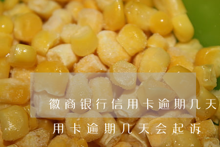 徽商银行信用卡逾期几天会起诉(徽商银行信用卡逾期几天会起诉)