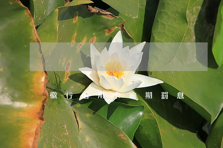 徽行信用卡逾期罰息