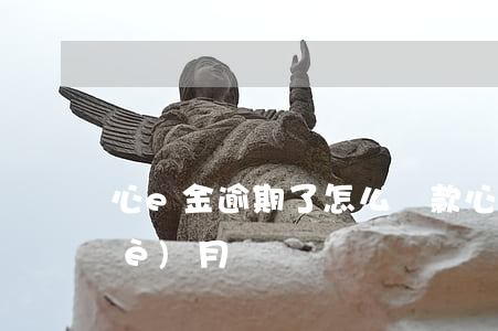 心e金逾期了怎么還款(心e金逾期幾個(gè)月)