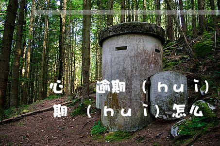 心儀貸逾期會(huì)怎么樣-心儀貸逾期會(huì)怎么樣