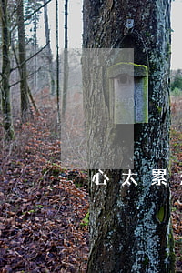 心太累想離婚怎么辦