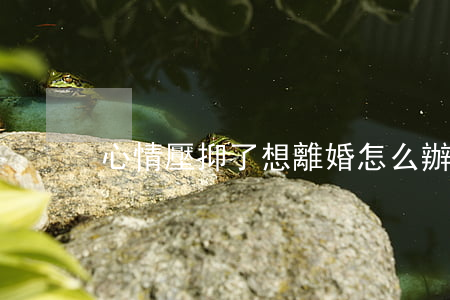 心情壓抑了想離婚怎么辦