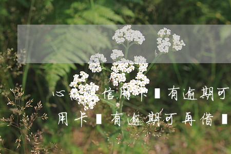 心意通信用卡沒有逾期可再借嗎-心意通信用卡沒有逾期可再借嗎