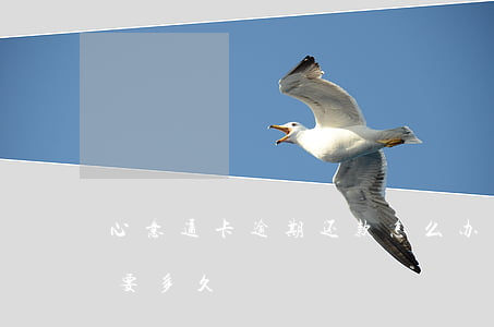 心意通卡逾期还款怎么办(心意通卡到期审核要多久)