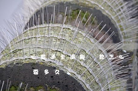 心意通卡逾期還款怎么辦(心意通卡到期審核要多久)