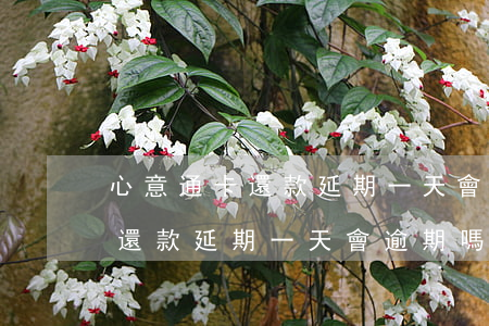 心意通卡還款延期一天會逾期嗎-心意通卡還款延期一天會逾期嗎怎么辦