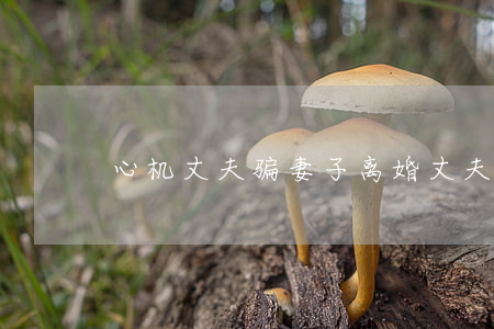 心机丈夫骗妻子离婚(丈夫出轨骗妻子假离婚)