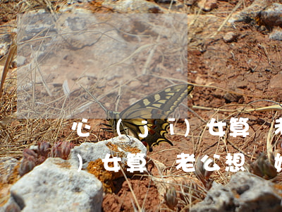 心機(jī)女算計老公想離婚(心機(jī)女算計老公想離婚)