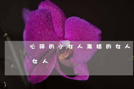 心碎的小女人离婚的女人是单身(离异单身的女人)
