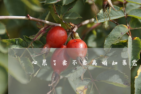 心累了要不要离婚(如果觉得累了要不要离婚)