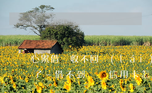 心累借錢收不回來(lái)信用卡還逾期了-借不到錢還信用卡怎么辦