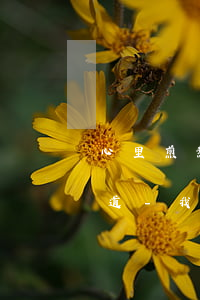 心里煎熬啊欠了網(wǎng)貸怕家里知道-我欠了網(wǎng)貸害怕跟家人說