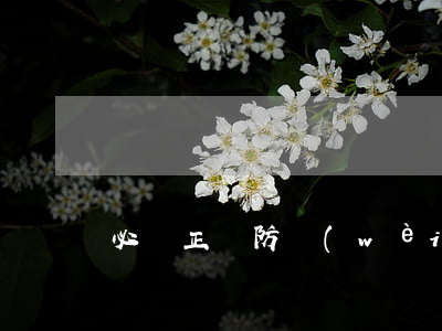 必備：正當防衛(wèi)裁判要旨16條
