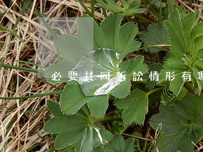 必要共同訴訟情形有哪些