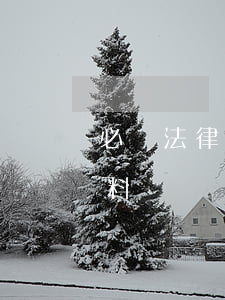 必須法律援助的情形包括哪些以及需要的材料