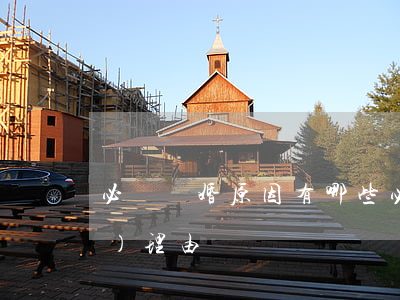 必須離婚原因有哪些(必須離婚的十個(gè)理由)