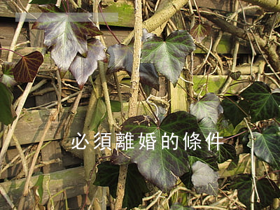 必須離婚的條件