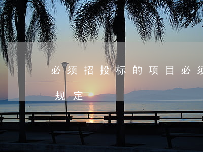 必须招投标的项目(必须招投标的项目规模的规定)