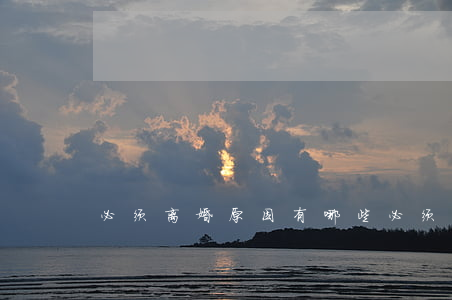 必须离婚原因有哪些(必须离婚的十个理由)