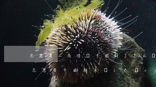 志愿者工商借記卡逾期了怎么辦-工商銀行志愿者卡逾期未領(lǐng)取