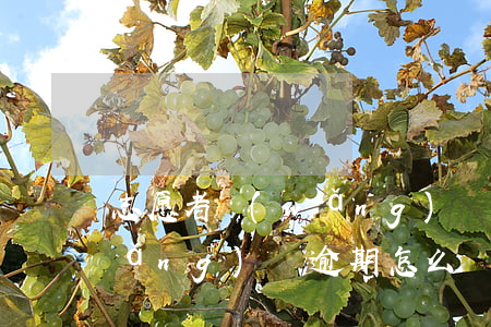 志愿者網(wǎng)貸逾期 志愿者網(wǎng)貸逾期怎么處理