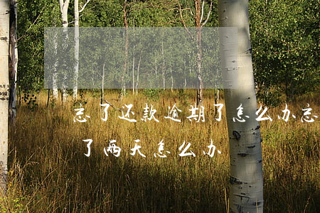 忘了还款逾期了怎么办(忘记了还款日期逾期了两天怎么办)